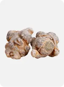 Panax Notoginseng Root